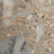 Jamie Young Capsule Travertine Table Lamp with Linen Shade