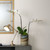 Jamie Young Wallace Adjustable Table Lamp - Antique Brass