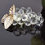 Grape Cluster - Clear