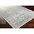 Surya Hightower  Rug - HTW3000 - 4' x 6'