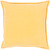 Surya Cotton Velvet Pillow - CV007 - 20 x 20 x 5 - Down