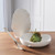 Global Views Organic Round Bowl - Matte White - Med