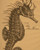 Art Classics Sea Horse Etching