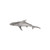 Phillips Collection Whaler Shark, Silver Leaf