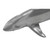 Phillips Collection Whaler Shark, Polished Aluminum