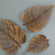 Phillips Collection Birch Leaf Wall Art, Copper, SM