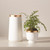 Global Views Modern Gold Banded Vase - Sm