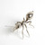 Global Views Pharaoh Ant - Antique Nickel - Lg