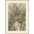 Wendover Palm Frond Layers 1