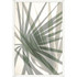 Wendover Palm to Shapes 1
