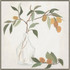 Wendover Muted Fruit Vase 3