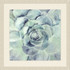 Wendover Succulent 1 - WNT1229
