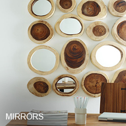 Phillips Collection Mirrors