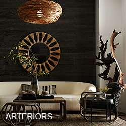 Arteriors