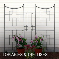 Topiaries & Trellises