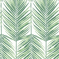 Palm Leaves Wallpaper