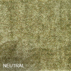 Loloi Neutral Rugs