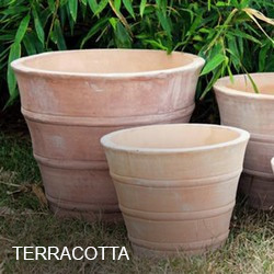 Terracotta Planters