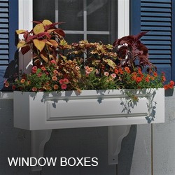 Window Boxes