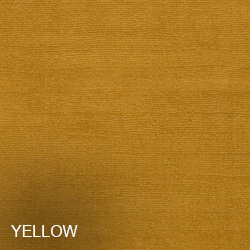 Loloi Yellow Rugs