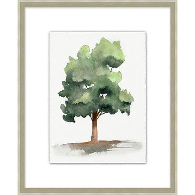 Wendover Tree Wendover Tree Portrait 2