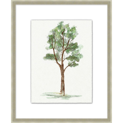 Wendover Tree Wendover Tree Portrait 1