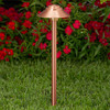 2128-CSN Solid Copper Path and Area Light by Vista Lighting