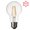 12V A19 Bulb by JQ America