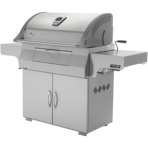 Charcoal Professional Freestanding Charcoal Grill by Napoleon