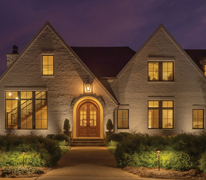 Vivid Series Flex Gold PAR36 Color Changing LED by Unique Lighting Systems