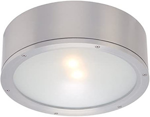 Tube Ceiling Mount 30W Aluminuminum