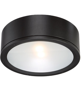 Tube Ceiling Mount 30W Black