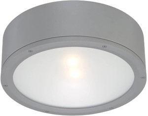 Tube Ceiling Mount 30W Graphite