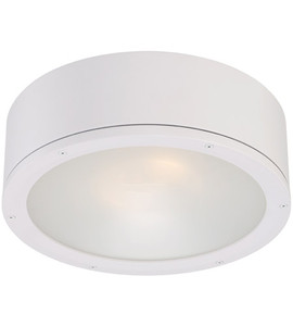 Tube Ceiling Mount 30W White