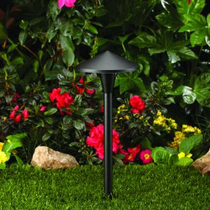 6509 Path and Area Light by Vista Lighting