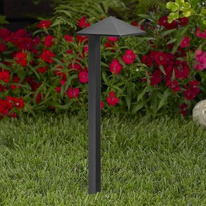 6540 Path and Area Light by Vista Lighting