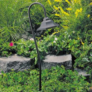 7210 Path and Area Light by Vista Lighting