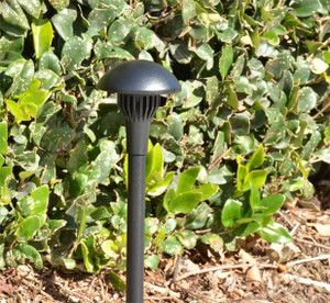 AL-06-LEDP Area Light by Focus Industries