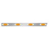 Phoenix Design 389 Extended Cab Panels with Clear Amber P-1 Lights