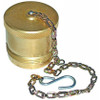 Steel Dust Plug with Chain for 1" NPT Coupler