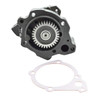 Oil Pump Assembly OEM: 3803698