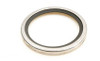 PAI Truck Parts Thermostat Seal