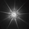 Trux Accessories TRUX Star Burst Stop/Turn/Tail Red to White Watermelon Light - 19 Diodes - TLED-WTRW