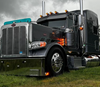 Dane Nelson Peterbilt 389 Bug Shield