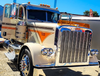 Dane Nelson Peterbilt 389 Bug Shield