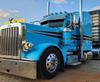 Dane Nelson Peterbilt 389 Bug Shield