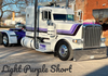 Dane Nelson Peterbilt 379 Bugshield
