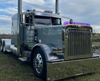 Dane Nelson Peterbilt 379 Bugshield