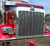 Dane Nelson Peterbilt 589 Bugshield