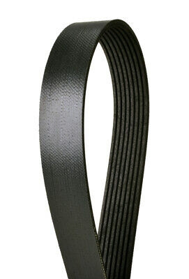 Alliance Serpentine Alternator/AC Belt